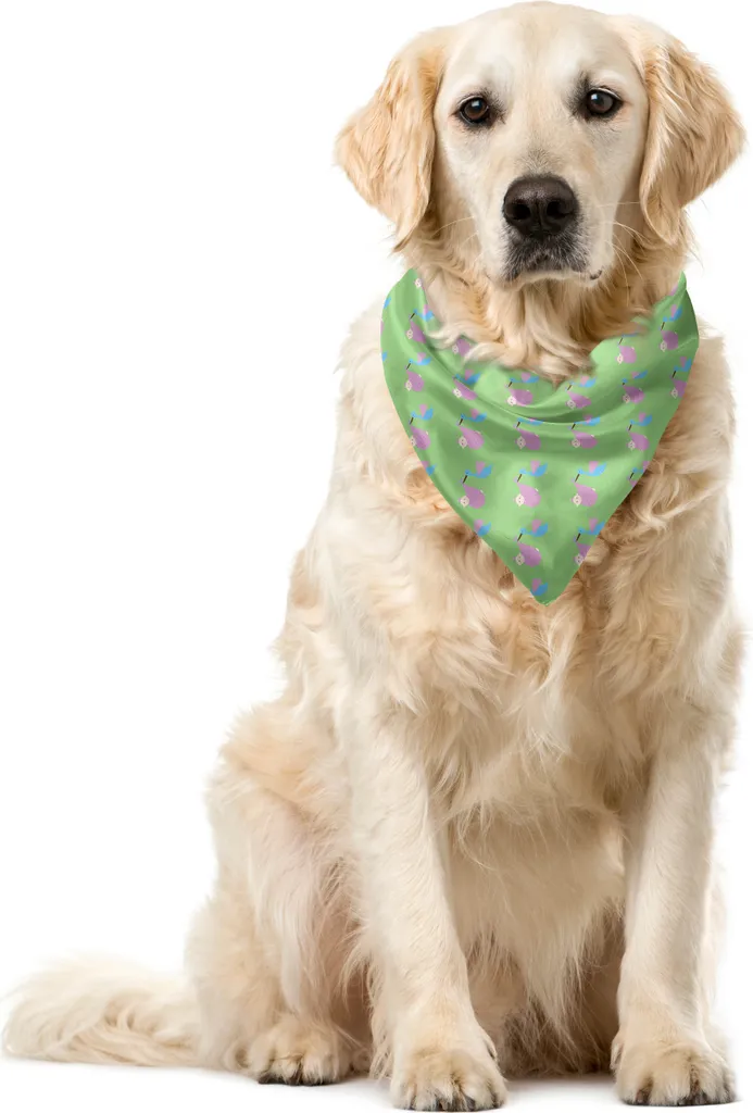 ABAKUHAUS Bandana per animali domestici, festa di nascita uccellini, 40x40 cm, multicolore
