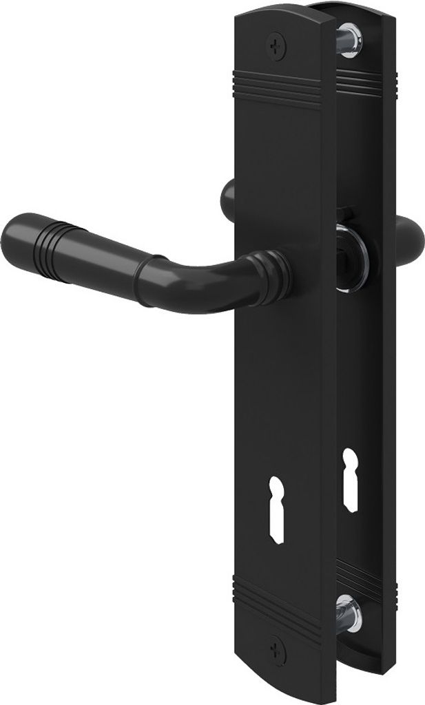 A black door handle set with a backplate and two keyholes, shown against a white background.