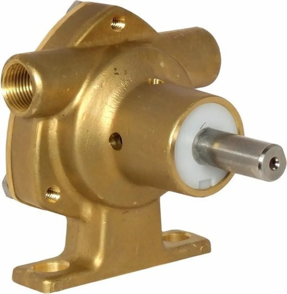 Pompe à eau Jabsco 51520-2001 contre la surchauffe moteur marin