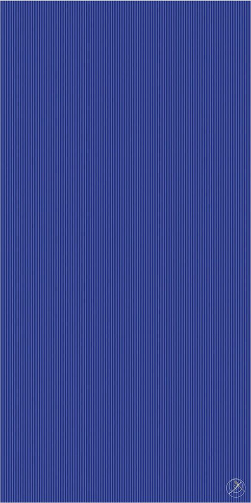 RehaMat Gymnastikmatte 200 x 100 x 2,5 cm, verschiedene Farben, Farbe:blau
