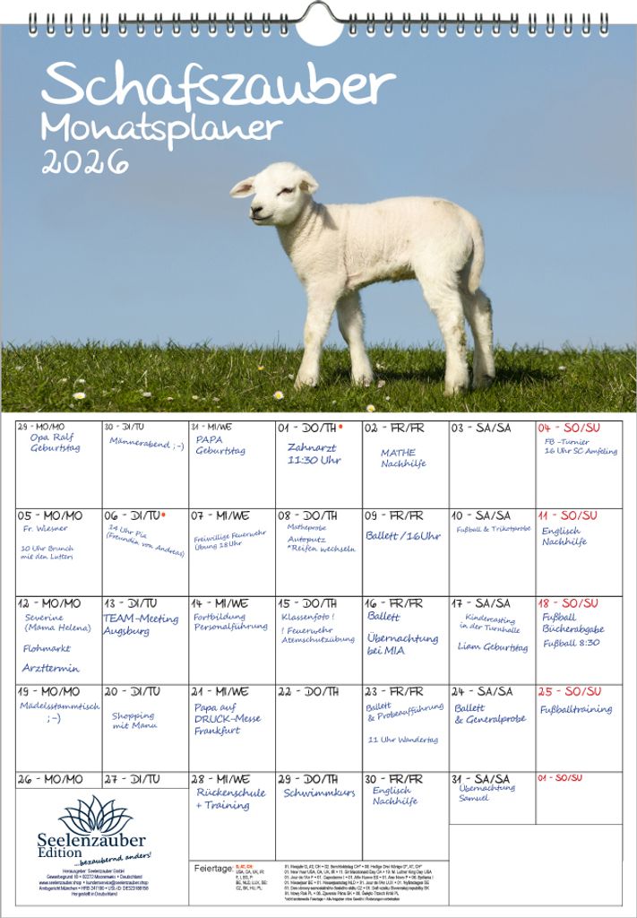 Schafszauber Planer DIN A3 Kalender für 2026 Schafe und Lämmchen - Seelenzauber