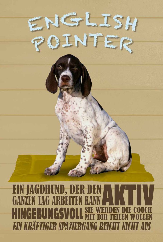 vianmo Holzschild 30x20 cm English Pointer Jagdhund aktiv Produktbild 