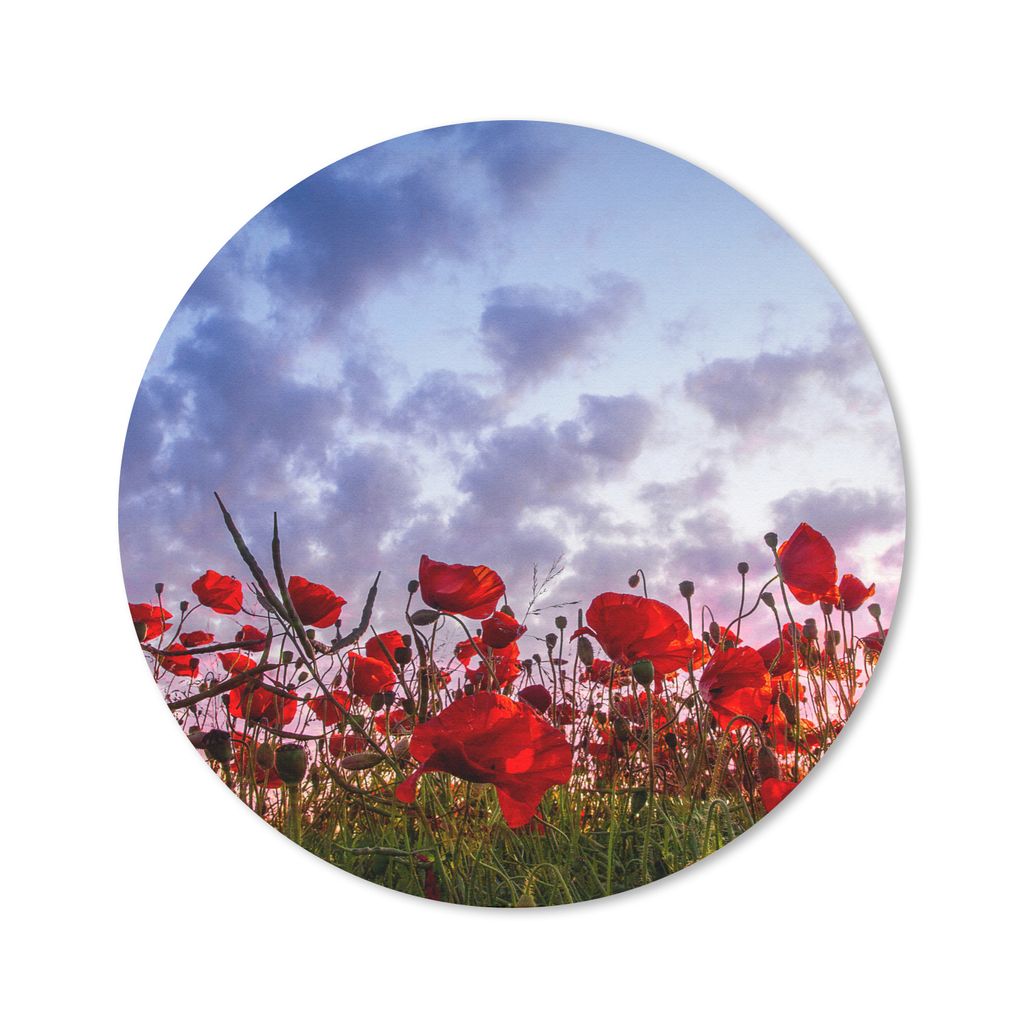 MuchoWow Mauspad Mousepad Mohnblumen - Sonnenuntergang - Frühling 40x40 cm - Mousepads - Maus Mat - Pad - Mausunterlage - Schreibtisch Accessoires