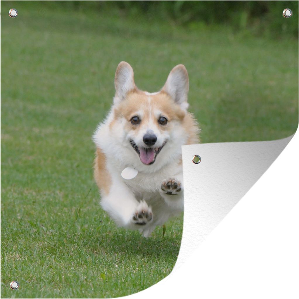 MuchoWow 50x50 cm Outdoor-Poster Gartendeko Sichtschutz Garten Poster für den Garten Laufender Corgi