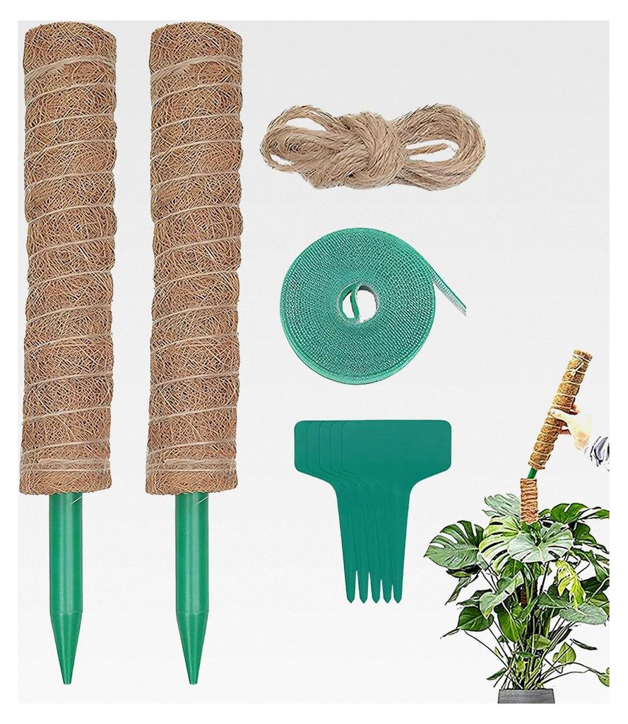 Monstera Pflanzenstütze - Unterstützung für vertikales Wachstum mit Moospfählen und Kletterstangen für Rankpflanzen - Geeignet für Zimmerpfla...