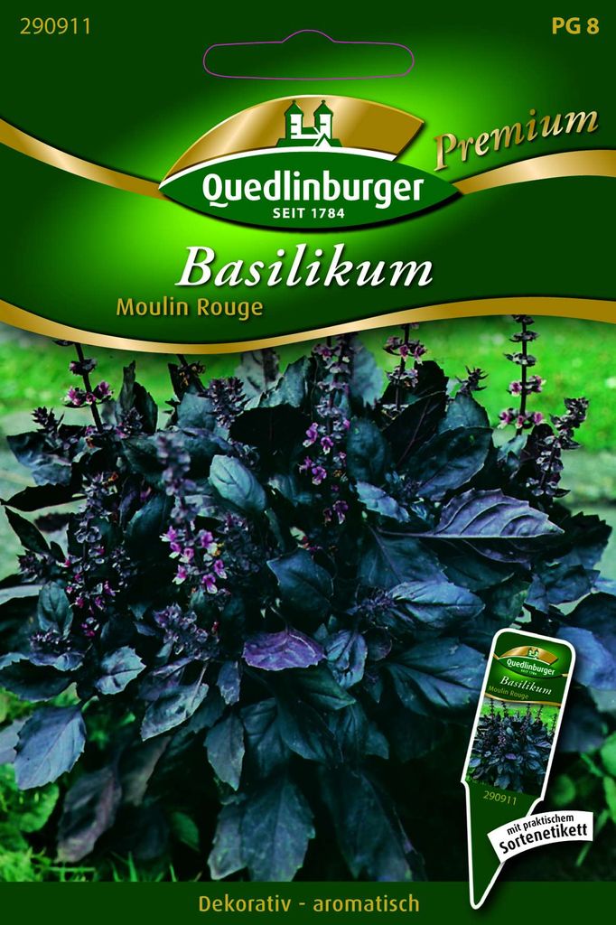 Basilikum 'Moulin Rouge' Quedlinburger Kräutersamen Produktbild 