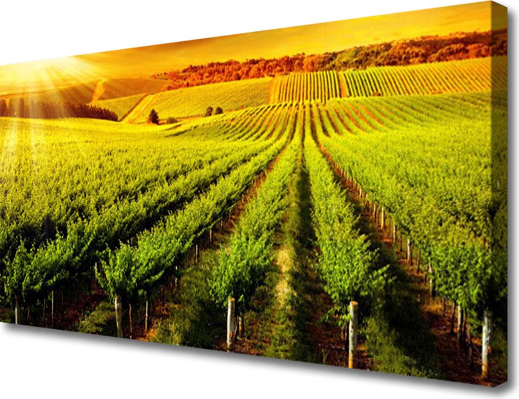 Tulup Leinwand-Bilder 100x50 Wandbild Canvas Kunstdruck Acker Natur