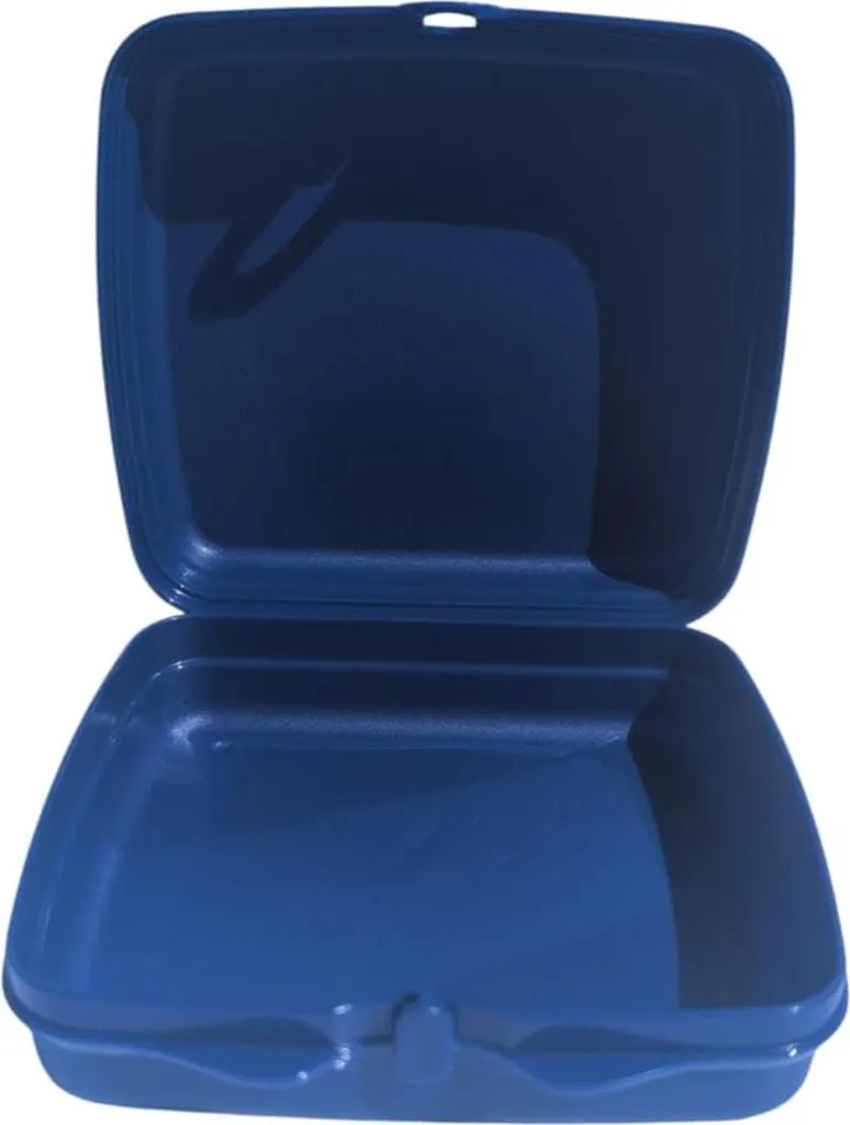 Boîte à Lunch Carrée Tupperware Bleu Forêt pour Transport de Sandwichs