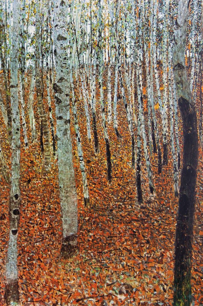 Gustav Klimt Kunstdruck Bild - Birkenwald, 1903 (180 x 120 cm)