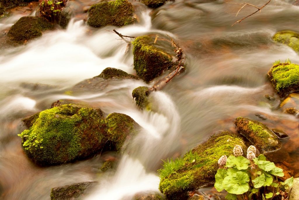 hansepuzzle 46748 - Bach Puzzle, 2000 Teile, Natur, 90,0 x 60,0cm mit hochwertiger Aufbewahrung, Kartonbox und wiederverschließbarem Beutel