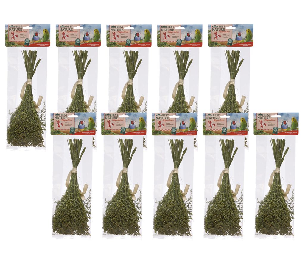 Dehner Best Nature Vogelsnack, Knabberhalme 100 % natürlich, für Wellensittiche / Kanarien / Ziervögel, Rispenhirse, 10 x 50 g (500 g)
