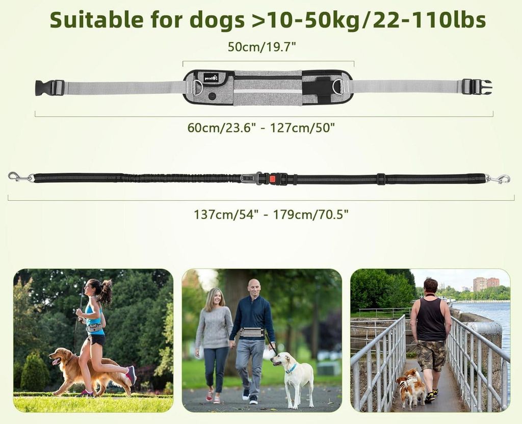 Joggingleine Mit Bauchgurt Für Hunde - Elastische Freihandleine Reflektierend
