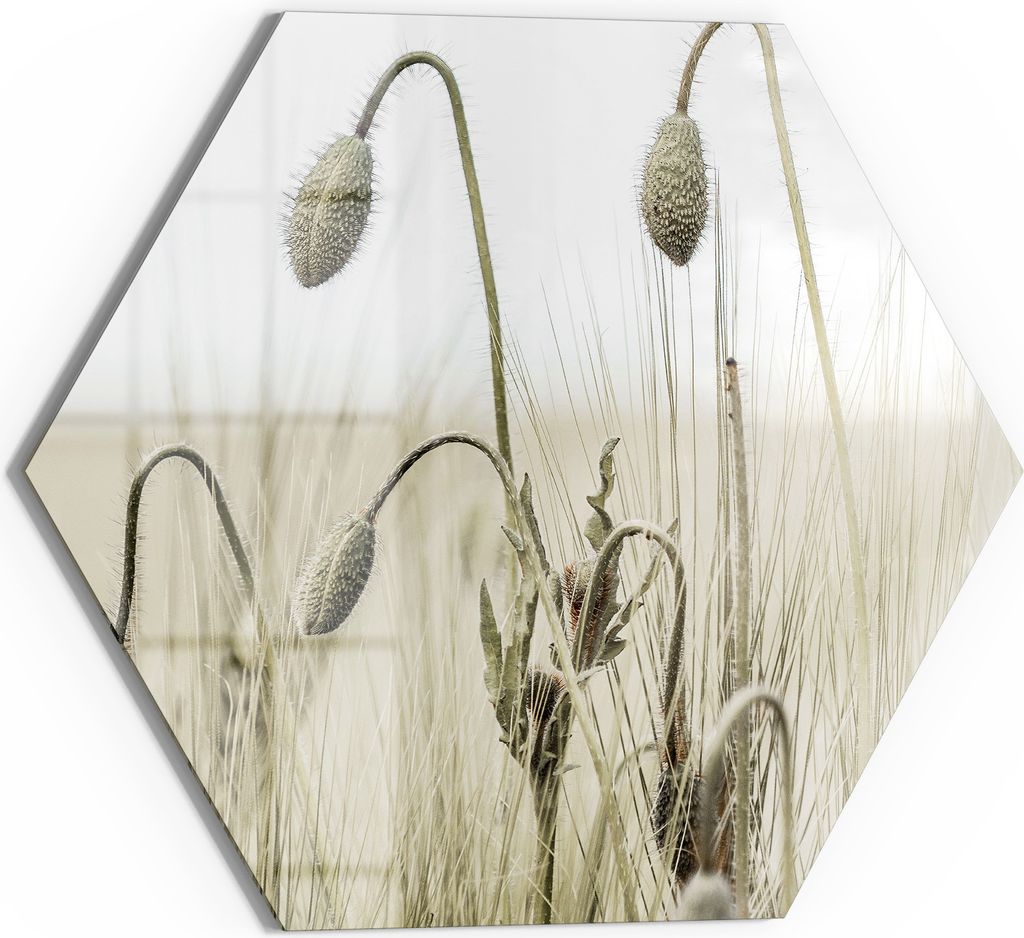 DEQORI Magnettafel Glas 55x48 cm 6-eckig 'Flüsternde Halme' beschreibbar Whiteboard Küche