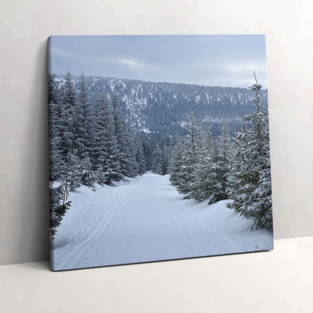 Czech Giant Mountains in winter – Leinwandbild Wandbild – 60x60 cm – Leinwandbilder – Wandbilder – Schlafzimmer – Flur