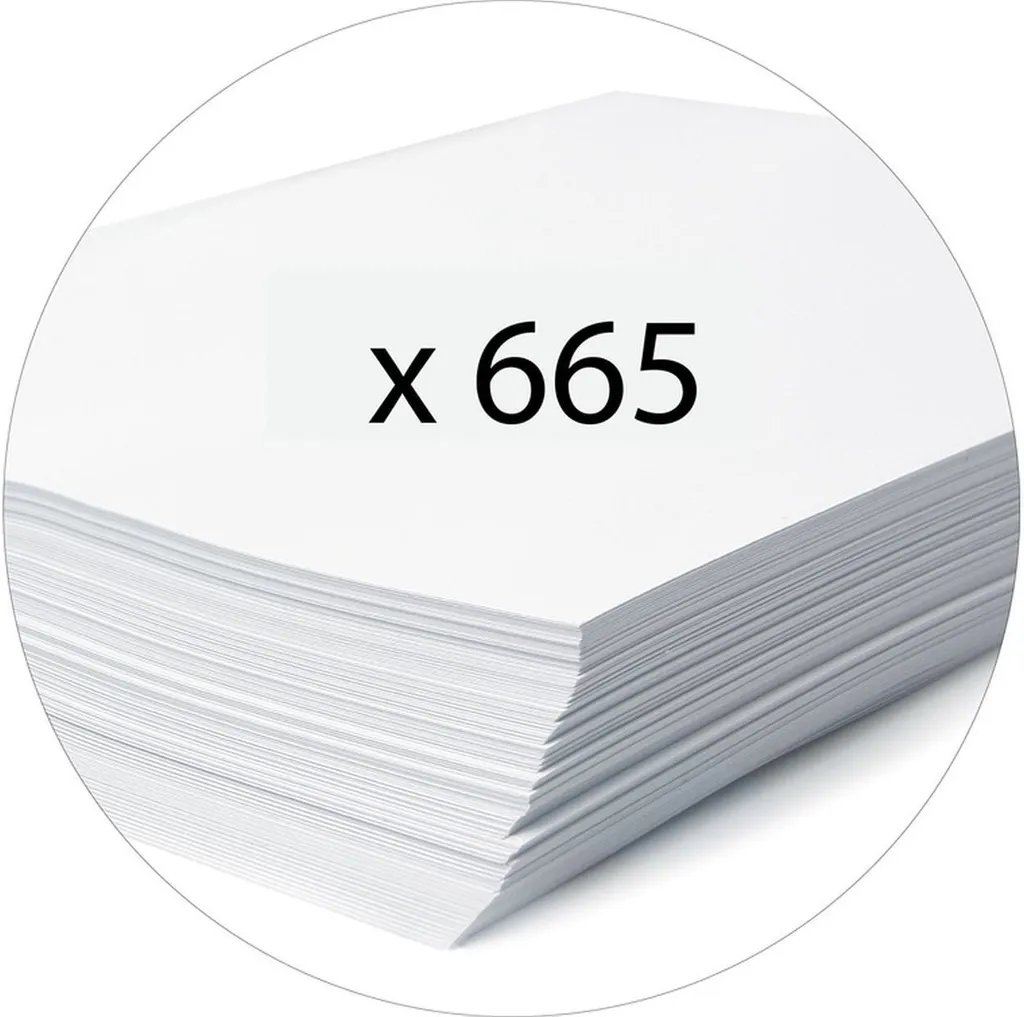 Classeur A4 Maxi Blanc : Protégez vos Intercalaires et Documents