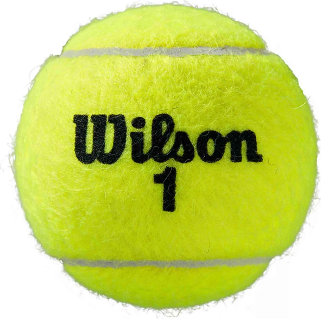 Wilson Roland Garros All Court Tenisová loptička 4 Obrázok produktu 