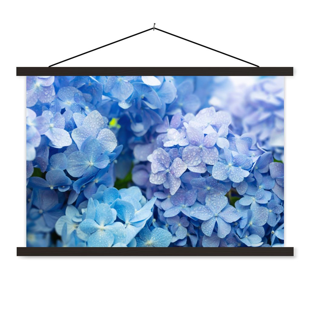 MuchoWow Textilposter Hortensie - Wassertropfen - Floral - Botanisch - Blau 60x40 cm mit schwarzem Rahmen - Hölzernes