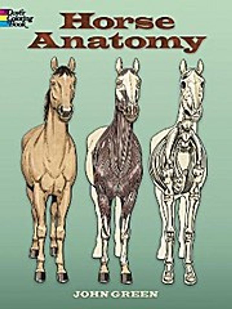 Horse Anatomy Obrázek produktu 