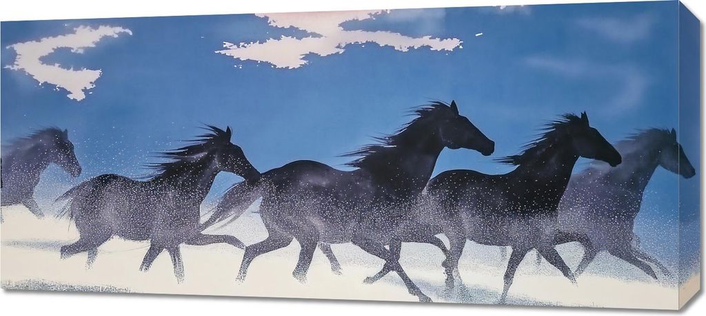 Bild 90x40cm Freiheit und Freiheit
