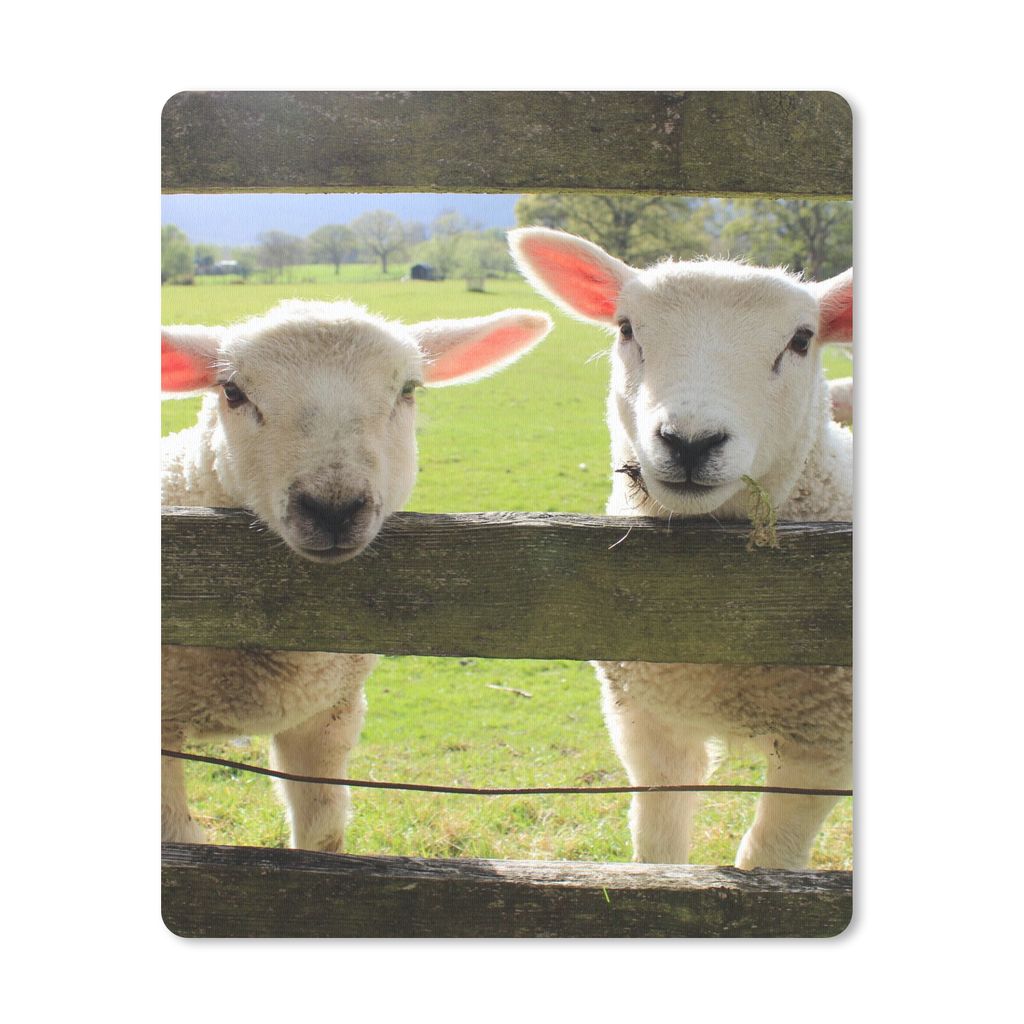 MuchoWow Mauspad Mousepad Schafe - Tiere - Bauernhof 30x40 cm - Mousepads - Maus Mat - Pad - Mausunterlage - Mausmatten