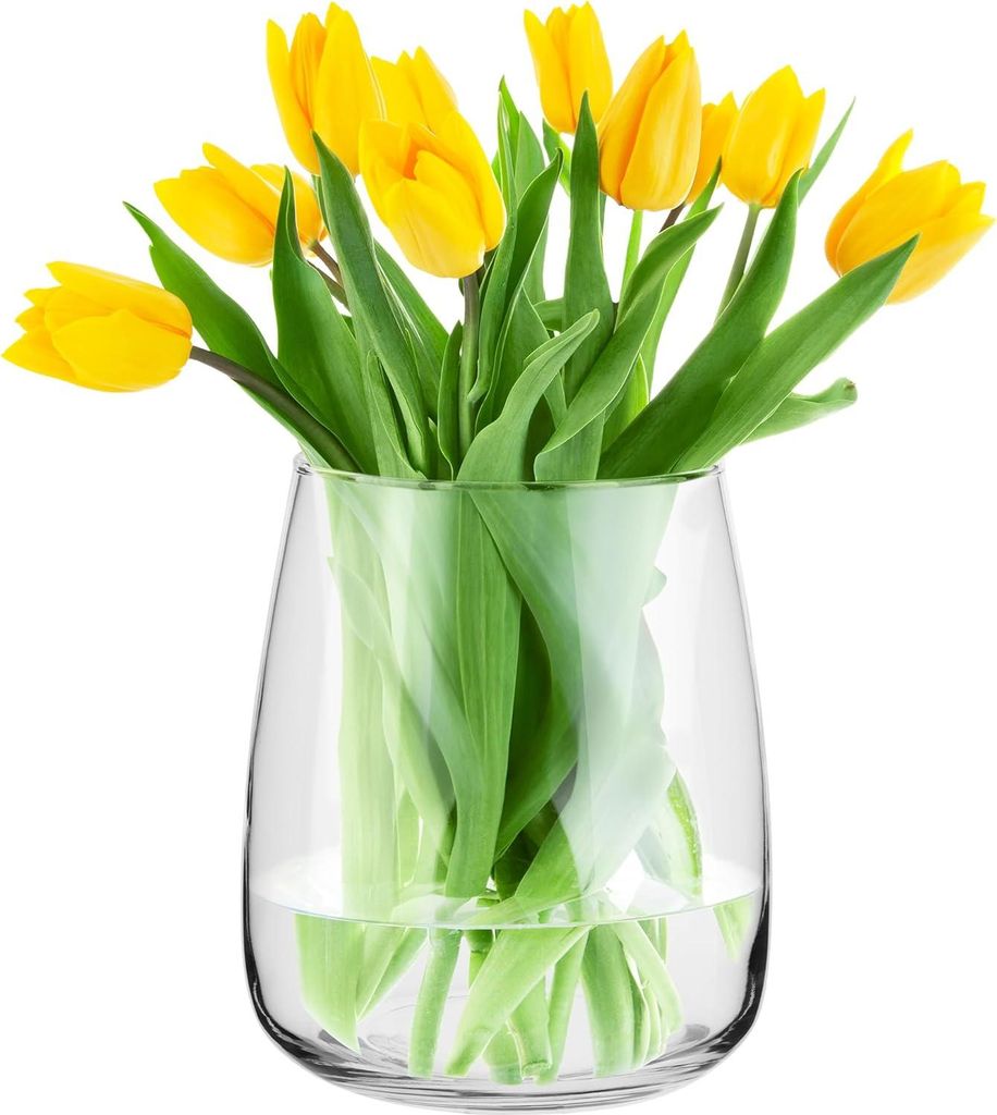 Große Glasvase für Pampasgras und Tulpen, Höhe 22,7 cm, breite Öffnung, bauchig, transparent