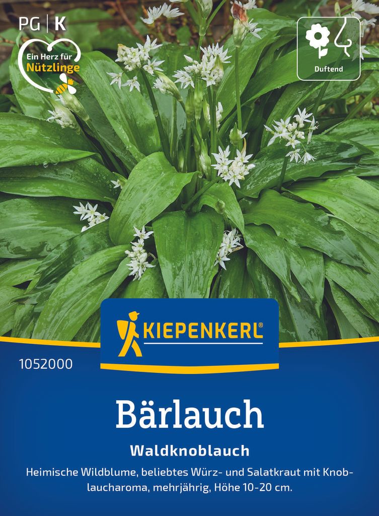 Kiepenkerl Bärlauchsamen Waldknoblauch Allium ursinum 35 Produktbild 