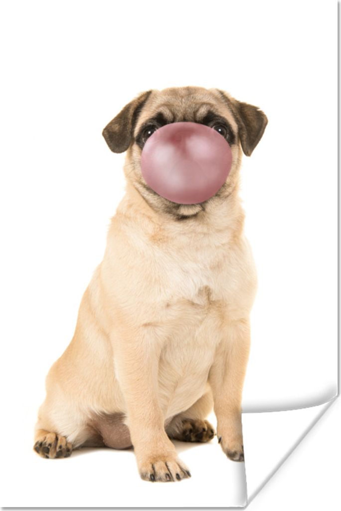 MuchoWow Poster Hund - Tiere - Kaugummi - Kinder - Jungen - Mädchen 120x180 cm - Kunstposter