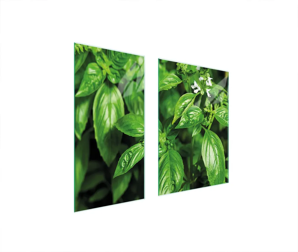 Coprifornelli 2 Pezzi 75x52 in Vetro Temperato Foglie Verdi | Tagliere