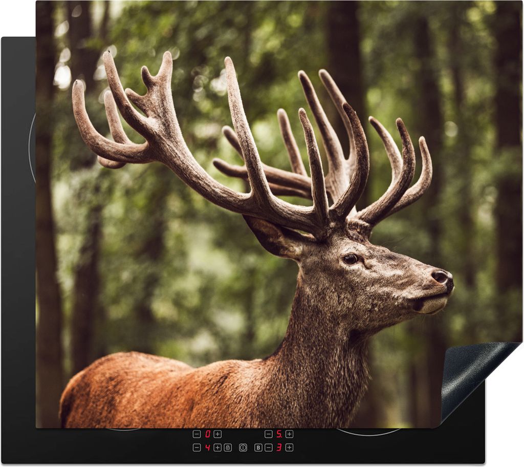 KitchenYeah Herdabdeckplatte Hirsch - Natur - Geweih - Wald - Tiere , 58x51cm, Küche Deko, Glaskeramikkochfeld Herdabdeckung, Abdeckplatte fùr ...
