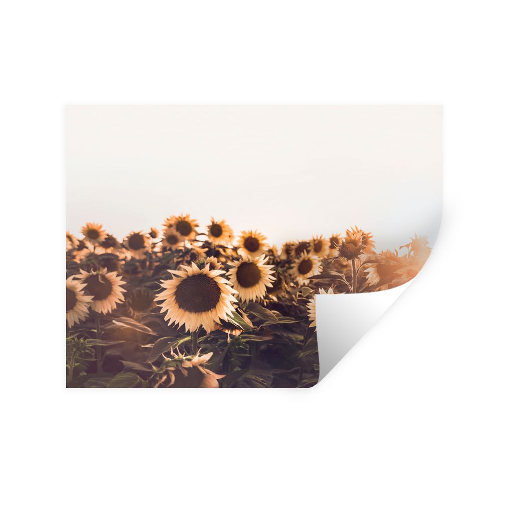 MuchoWow Wandtattoo Wandsticker Wandaufkleber Sonnenblumen - Feld - Sonnenuntergang - Blumen - Gelb 120x90 cm Selbstklebend und Repositionierbar ...