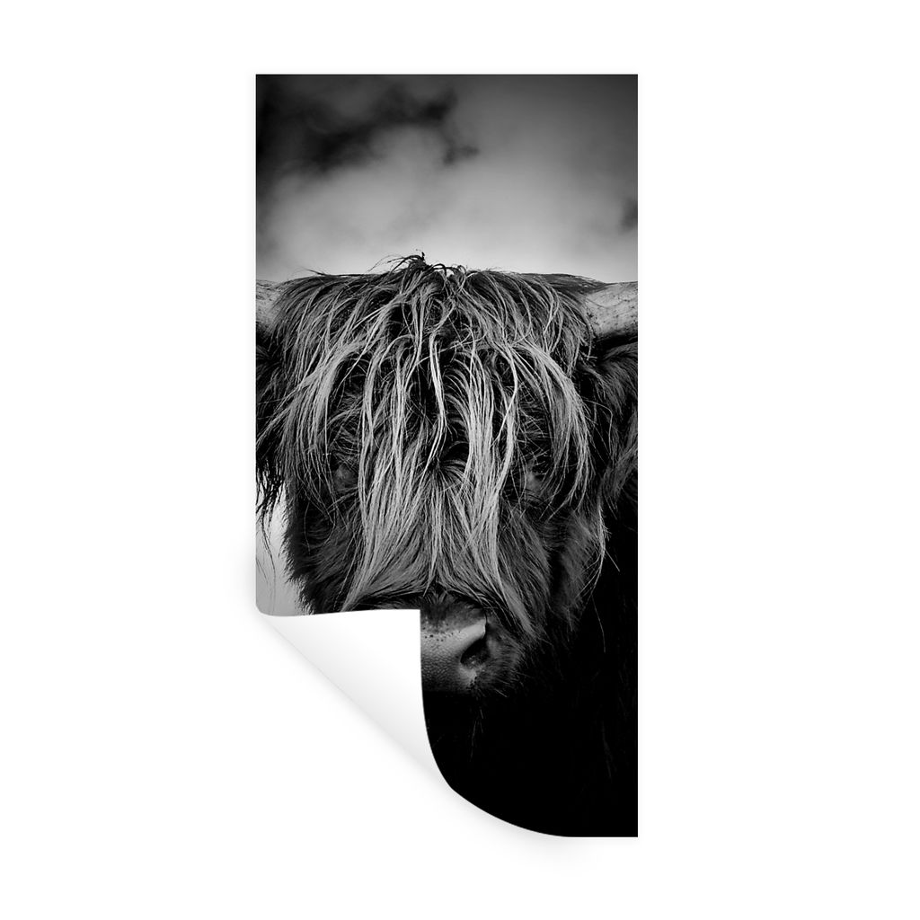 MuchoWow Wandtattoo Wandsticker Wandaufkleber Schottischer Hochländer - Licht - Porträt - Natur 60x120 cm Selbstklebend und Repositionierbar - ...