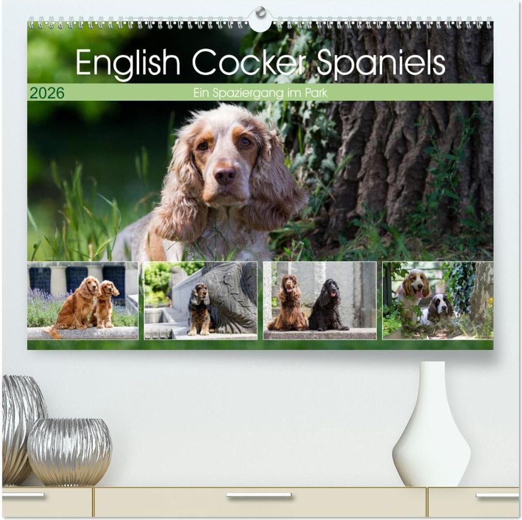 English Cocker Spaniels - Ein Spaziergang im Park (hochwertiger Premium Wandkalender 2026 DIN A2 quer), Kunstdruck in Hochglanz
