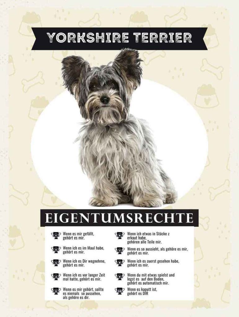 vianmo Holzschild 40x30 cm Yorkshire Terrier Eigentumsrechte Tier Haustier