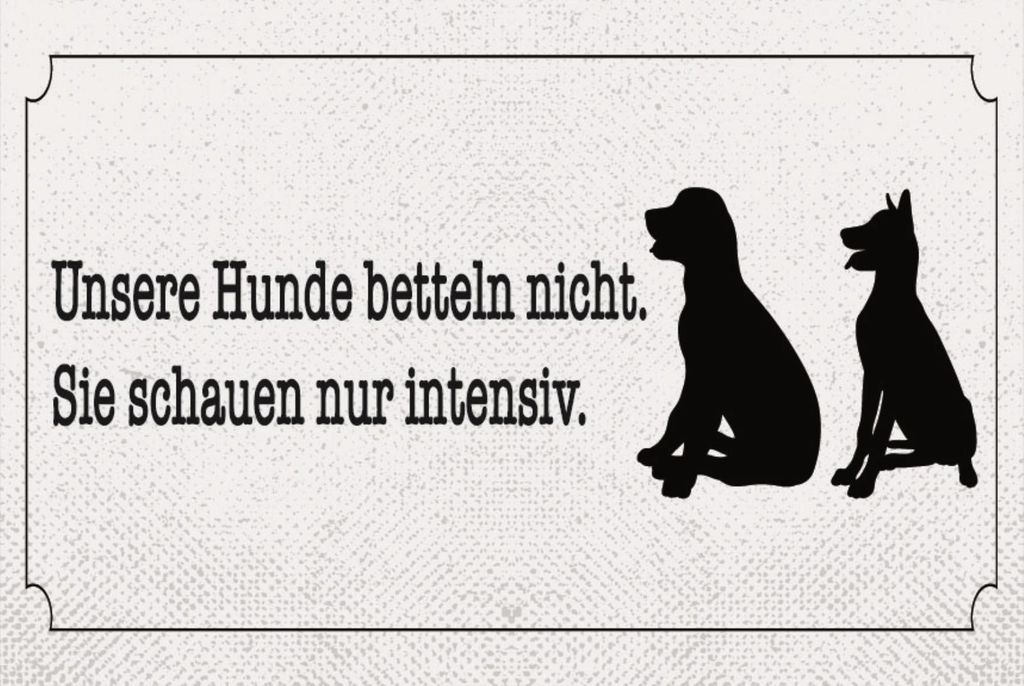 vianmo Blechschild 30x40 cm Hunde bettlen nicht intensiv