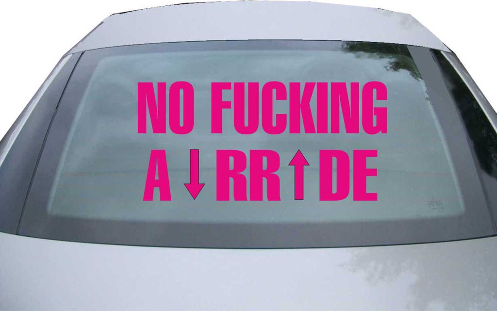 Indigos UG - Aufkleber Heckscheibe & Motorklappe DE6080 - pink - 600x287 mm - no fucking a rr de - Auto Scheiben Fenster Heckklappe Tuning Racing J...