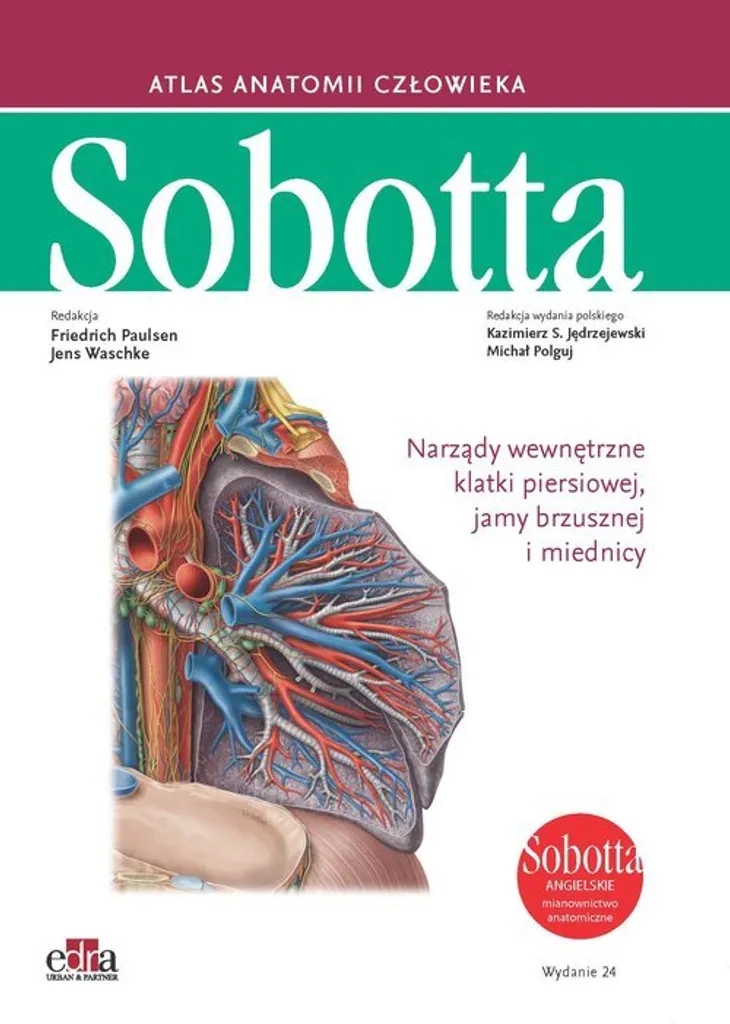 Sobotta Anatomie Humaine Vol 2 Nomenclature Anglaise Planches Haute Qualité