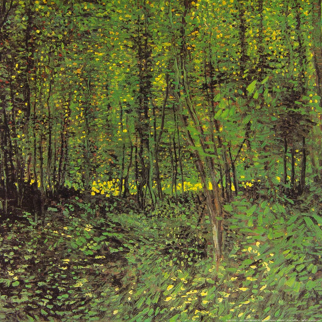 Vincent Van Gogh Kunstdruck Bild - Bäume Und Unterholz, 1887 (40 x 40 cm)