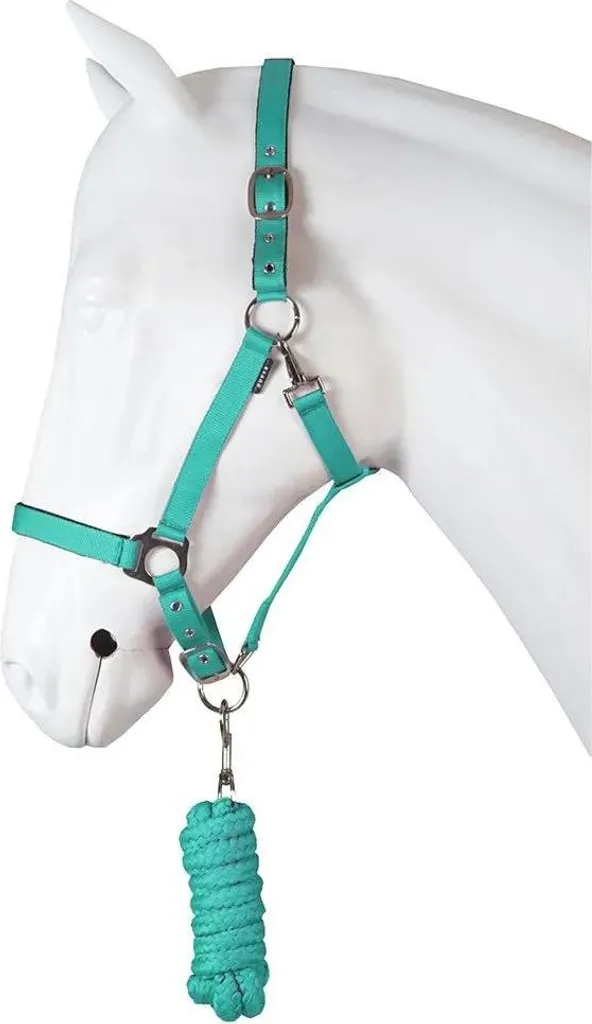 Licol et Longe Horka Dime Vert Taille Full - Set d'Écurie en Nylon Vert