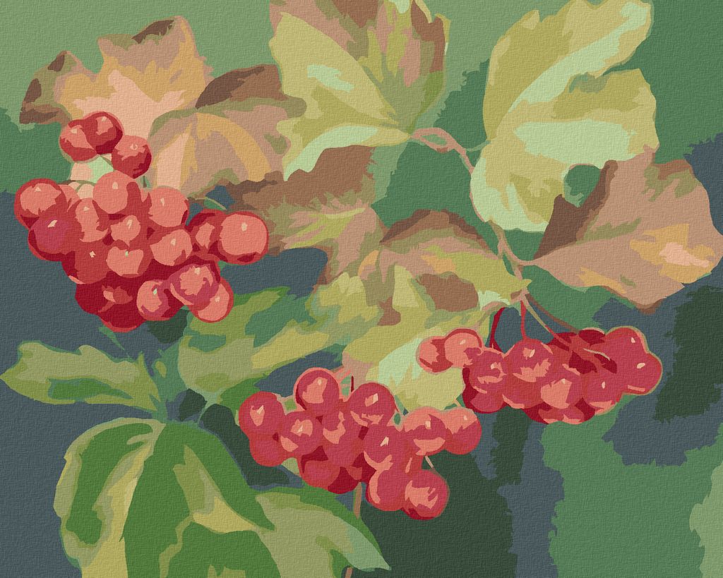 Zuty - Malen nach Zahlen - ROTE JOHANNISBEEREN (MYROSLAVA VOLOSCHUK), 40x50 cm, ohne Keilrahmen