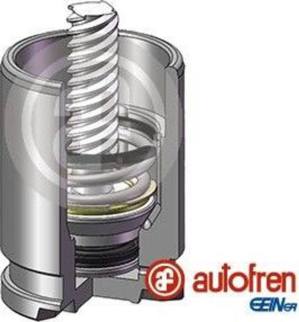 AUTOFREN SEINSA D025530K Kolben, Bremssattel OE 58210C8300 kompatibel mit Accent, i10, i20, Ioniq, Solaria, Rio, Stonic