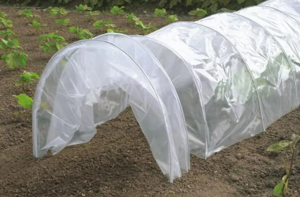 Tunnel accordéon EASYTUNNEL pour potager - Serre de forçage pliable