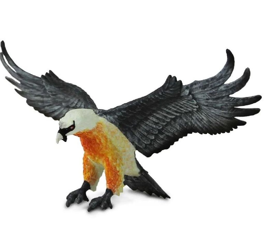 Safari Ltd 108200 Bartgeier 14 cm Vogelwelt Produktbild 