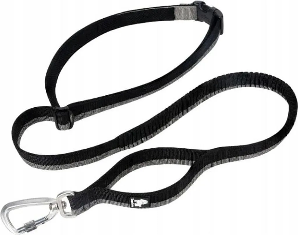 DOGTREKKING Strong M Review: Il Guinzaglio Ammortizzato Definitivo