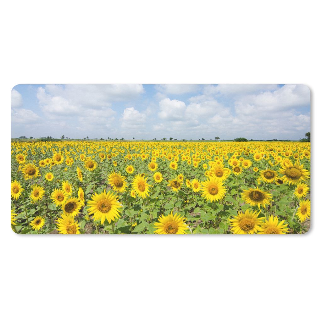 MuchoWow Schreibtischunterlage Sonnenblumen - Blumen - Wolken - Natur - Gelb - Landschaft 80x40 cm - XXL Mauspad - Gaming Mauspad