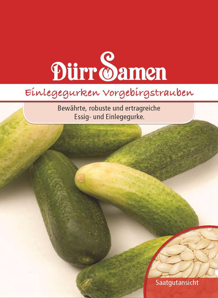 Dürr-Samen - Einlegegurken Vorgebirgstrauben - Saatgut - Produktbild 