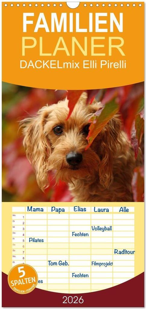 Familienplaner 2026 - DACKELmix Elli Pirelli mit 5 Spalten (Wandkalender, 21 x 45 cm) CALVENDO