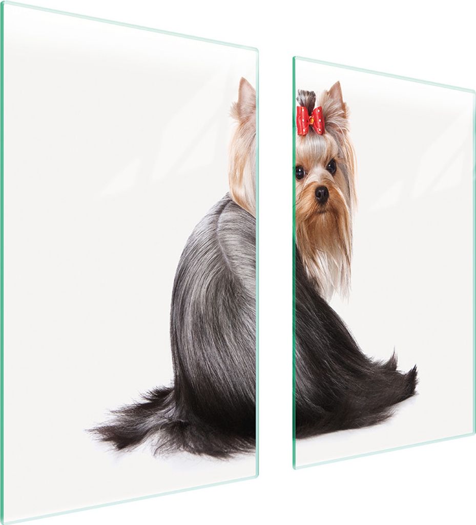 Glasschutzplatte Für Herd 75X52 Hund