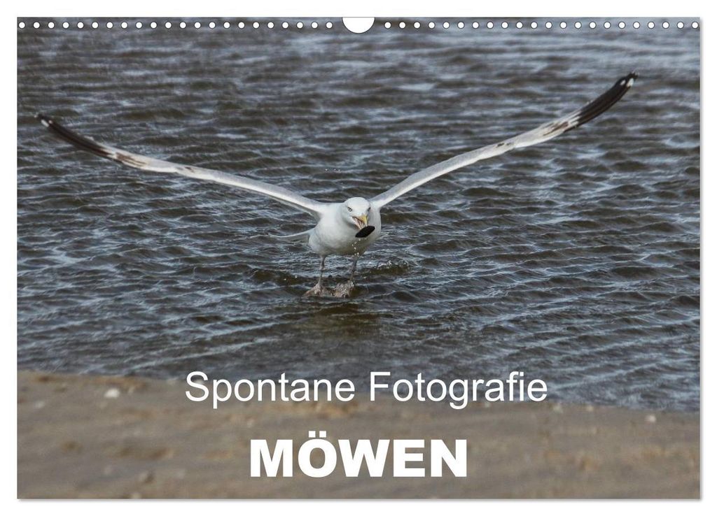 Spontane Fotografie - Möwen (Wandkalender 2027 DIN A3 quer), CALVENDO Monatskalender