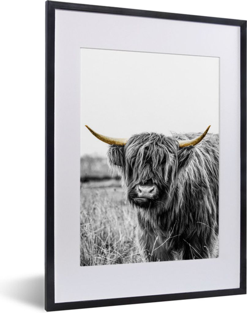 MuchoWow MuchoWow Gerahmtes Poster Schottisches Hochlandrind - Gras - Gold 30x40 cm - Poster mit zchwarzem Bilderrahmen - Wandposter Schlafzimmer