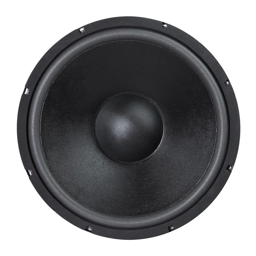 Subwoofer 380mm Haute Performance 350 Watts 8 Ohms à Membrane Rigide - 2